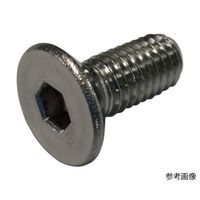 コノエ 六角穴付き皿ボルト ステンレス M3×6 100本入 FLATCS-SUS-36 1本(100本) 65-5886-38（直送品）