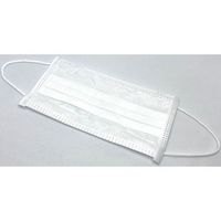 アズワン γ線滅菌マスク 3層耳掛け 1，000枚入 65-8642-45 1ケース(1000枚)（直送品）