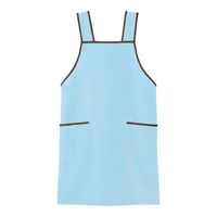 アズワン エプロン サックス 3L 66-0015-58 1枚（直送品）