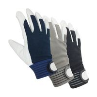 小野商事 豚クレスト 背抜き マジック 3双組AG506