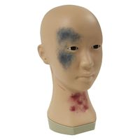 レジーナ メディカルメイクモデル 25241800 BMK-300 1台（直送品）