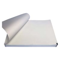 ちばら 心電図用記録紙 25386808 CQW210-10-295(5サツ) 1箱(5入)（直送品）