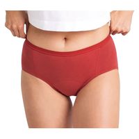 Aisle AisleHipster吸水ショーツ 25727604 GEAI204RDL(L)レンガ 1着（直送品）