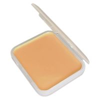 アイーダ AiSisご遺体用ファンデーション 25716702 N1(ソフトタイプ) 1箱(3個入)（直送品）