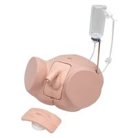 3B Scientific 導尿シミュレータープロセット 25300701 P93SPC-S 1台（直送品）