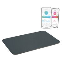 issin 体重測定できる スマートバスマット 25732002 SBM22U01LJ-DKGN(Dグレ) 1枚（直送品）