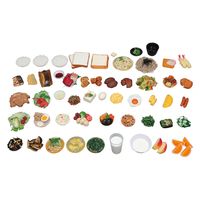 イワイサンプル 食品交換表に基づいた調理交換モデル50品セット25241900 SKM-50S(50シナ) 1組(50入) 25241900（直送品）