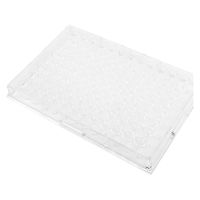 ステム 96穴プレートV底(無滅菌) 滅菌無し 25613700 P96V03N(50マイ) 1箱(50入)（直送品）