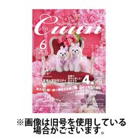 Cuun（クーン） 2024/10/10発売号から1年(12冊)（直送品）