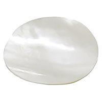 ヤマコー シェル丸皿 パール 21599 1個（直送品）