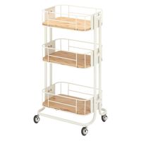 西村製作所 アプリワゴン(ストッカータイプ) 25585100 025(ホワイト) 1台（直送品）