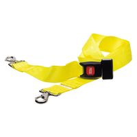 レールダルメディカル ストラップ