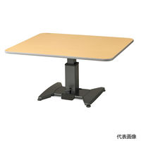 ピジョン タヒラ 折りたたみ昇降テーブル TLX