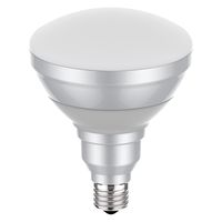 ゆずNH360LS 岩崎電気　高圧ナトリウムランプ10個 Amazon | 岩崎 高圧ナトリウムランプ FECサンルクスエース