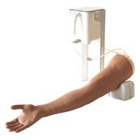 Limbs & Things 静脈穿刺トレーナー(ベーシック) 25553700 170304 1台（直送品）