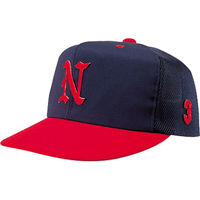 NATIONAL HAT(iVinbg) yjpEWjAz 싅Xq 냁bV M ^ N510 1Zbgi2jiij