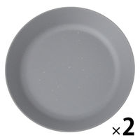スプラッシュ柄プレート（L） グレー 1セット（2枚） LAKOLE/ラコレ