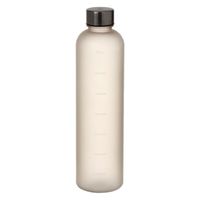 フロストウォーターボトル（1L） グレー LAKOLE/ラコレ