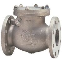 キッツ スイングチャッキ（10UOAM）（洗浄処理） 10UOAM