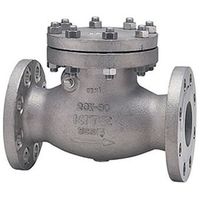 キッツ スイングチャッキ(20UOAM)(洗浄処理) 20UOAM 50A キンユショリ 1個（直送品）