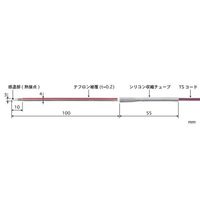 ST-11K-010-TS1-ANPiij