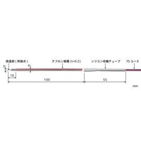 ST-21K-010-TS1-ANPiij