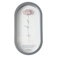 オーバルフッキングフレーム チャコール LAKOLE/ラコレ