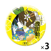 浅田飴糖衣L 檸檬 口腔咽喉薬 30錠 3缶セット 浅田飴  声がれ のどの痛み 中村佑介
