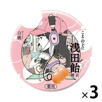 浅田飴糖衣P 白桃 口腔咽喉薬 30錠 3缶セット 浅田飴  声がれ のどの痛み 中村佑介