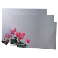 信栄物産 ステンレス平面ミラー ST-2050 1台（直送品）