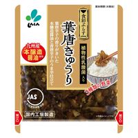 葉唐きゅうり 九州産本醤油使用 90g 1個 新進 漬物 ごはんのお供