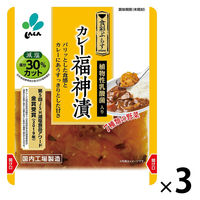 カレー福神漬 減塩 塩分30％カット 100g 1セット（1個×3）新進 漬物