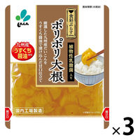 ポリポリ大根 九州産うすくち醤油使用 100g 1セット（1個×3
