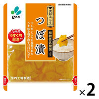 つぼ漬 九州産うすくち醤油使用 80g 1セット（1個×2）新進 だいこん 漬物