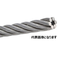 フック3 ワイヤー6 imgrc0078783850.jpg