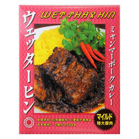 ミャンマーポークカレー ウェッターヒン マイルド＜特大豚肉＞ 250g 1個 レトルト 北野エース