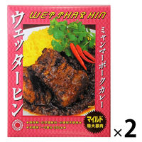 ミャンマーポークカレー ウェッターヒン マイルド＜特大豚肉＞ 250g 1セット（1個×2）レトルト 北野エース