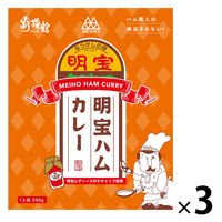 明宝ハムカレー ハム職人の絶品まかない！ 1人前・200g 1セット（1個×3）覇楼館 レトルト 北野エース