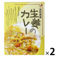 高知県産 生姜のカレー 200g 1セット（1個×2）高知県特産品販売 レトルト 北野エース
