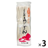 美濃乃里うどん 400g 1セット（1個×3）ナガヤワークス 北野エース