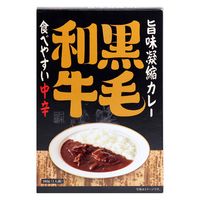 旨味凝縮カレー 食べやすい中辛 180g 1個 キャニオン・スパイス レトルト 北野エース