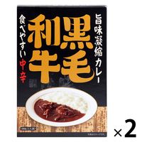 旨味凝縮カレー 食べやすい中辛 180g 1セット（1個×2）キャニオン・スパイス レトルト 北野エース