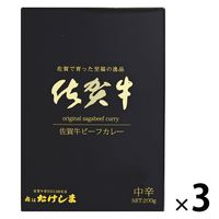 佐賀牛ビーフカレー 中辛 200g 1セット（1個×3）肉はたけしま レトルト 北野エース