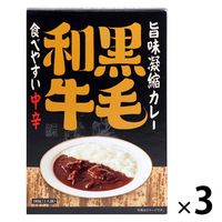 旨味凝縮カレー 食べやすい中辛 180g 1セット（1個×3）キャニオン・スパイス レトルト 北野エース