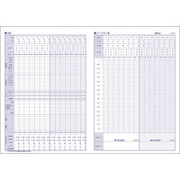 松吉医科器械 喘息日誌(PEAKFLOWDIARY A4・14週分 25326500 MY-0020(A4・14シュウカン) 1冊（直送品）