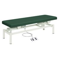 【軒先渡し】高田ベッド 電動診察台(電動ハイローベッド) 25353600 ビニルレザーメディグリーン TB-912(W60XL180CM) 1台（直送品）