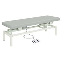 【軒先渡し】高田ベッド 電動診察台(電動ハイローベッド) 25353601 ビニルレザーグレー TB-912(W60XL190CM) 1台（直送品）