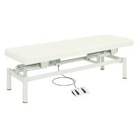 【軒先渡し】高田ベッド 電動診察台(電動ハイローベッド) 25353600 ビニルレザー白 TB-912(W60XL180CM) 1台（直送品）