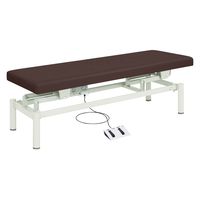 【軒先渡し】高田ベッド 電動診察台(電動ハイローベッド) 25353601 ビニルレザー茶 TB-912(W60XL190CM) 1台（直送品）