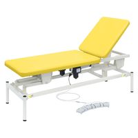 【軒先渡し】高田ベッド 2M電動リモス 25298100 ビニルレザーイエロー TB-1516(60X180CM) 1台（直送品）